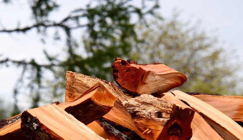 محبوب ترین چوب ها که در ساخت کابینت آشپزخانه استفاده می شوند